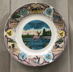 VINTAGE 1950s SOUVENIR MATSUMURA JAPAN POCONO WILD ANIMAL FARM COLLECTOR PLATE - Picture 1 of 9