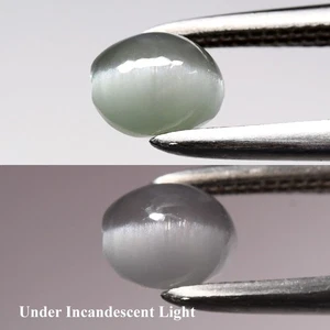 💎 0.60ct Oval Cabochon Natural Green Cat's Eye Alexandrite - Russia Gemstone - Picture 1 of 6