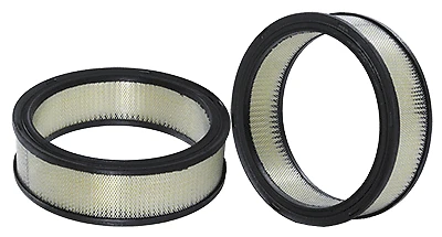 Filtro de aire Wix para Pontiac Fiero 1985-1988 2,5 L L4 GAS OHV Foto 1 de 3