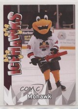 2008-09 Port Huron IceHawks Team Issue Mohawk #MO