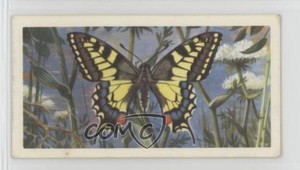 1963 Brooke Bond British Butterflies Tea Swallow-Tail #28 0y5