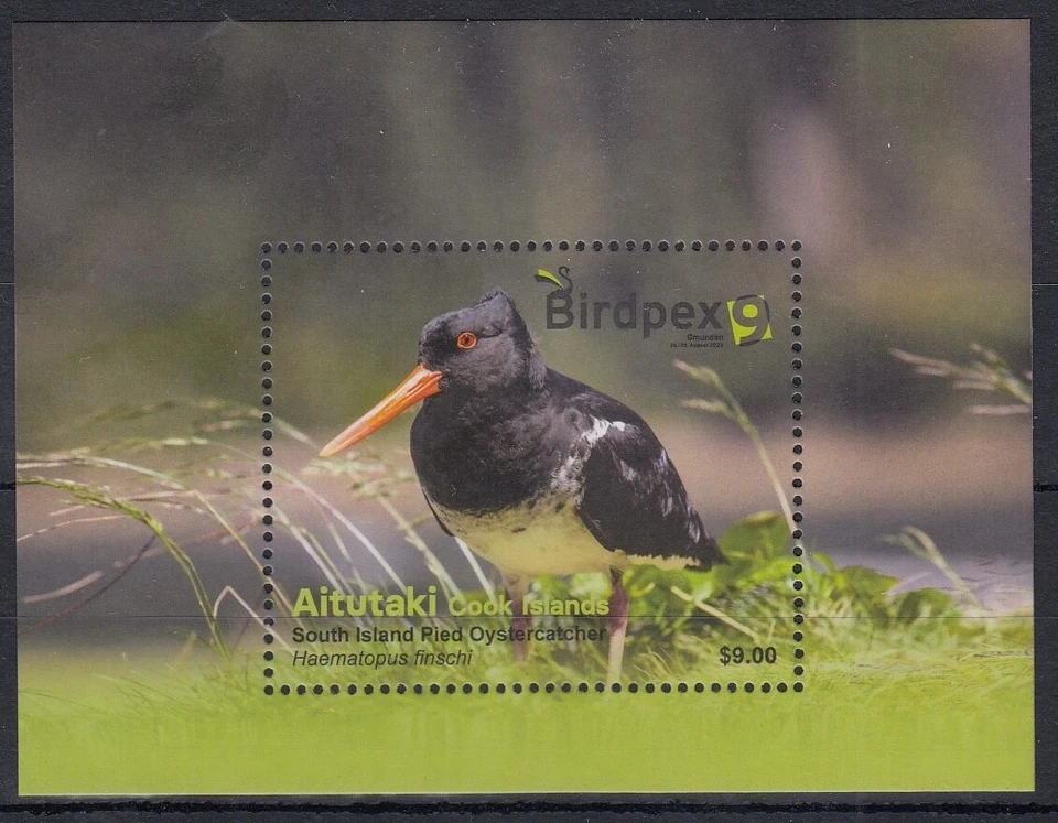 Aitutaki Islas Cook 2022 $9 Pied Ostercatcher Birds BIRDPEX Mini Hoja MUH Foto 1 de 1