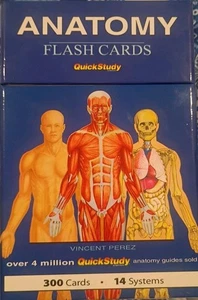 Anatomy Flash Cards Quick Study, Color-Coded, 300 Cards 14 Systems Covered - Picture 1 of 5