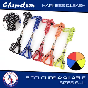 Dog Puppy Harness Step-in Safety Nylon Reflective ,Lead Set S,M,L Adjustable - Picture 1 of 10