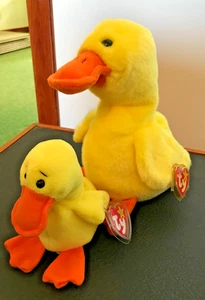 TY Buddy & Beanie Quackers Juego Retirado con Protectores de Etiqueta 1998~ Nuevo~ - Imagen 1 de 13