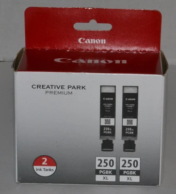 Paquete de 2 cartuchos de tinta de alto rendimiento originales Canon 250 XL negros MG6320 MG5420 IP7220 Foto 1 de 4