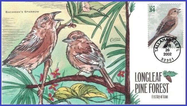 USA7 #3611f U/A COLLINS HAND PAINTED FDC   Pine Forest Bachman's Sparrow - Image 1 of 1