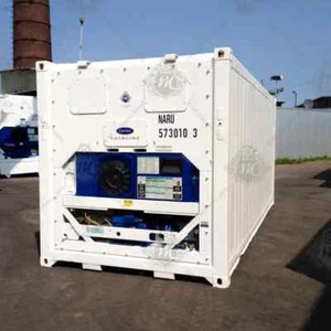 20 Fuss Kühlcontainer / mobile Kühlzelle  Tiefkühlcontainer Carrier - Bild 1 von 4