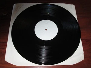 LEVELLERS 5 - THE PEEL SESSIONS - STRANGE FRUIT WHITE LABEL - NEW!!! - Picture 1 of 1