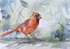 original watercolor painting ACEO cardinal bird on tree wildlife rural sky SIBY - Picture 1 of 3