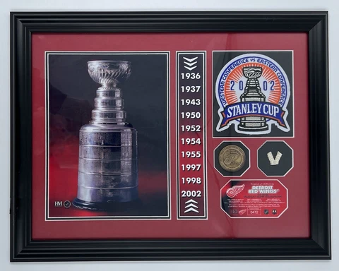 Detroit Red Wings Stanley Cup Champions Plaque#0472 Game Used Net w/Bronze Coin Cover