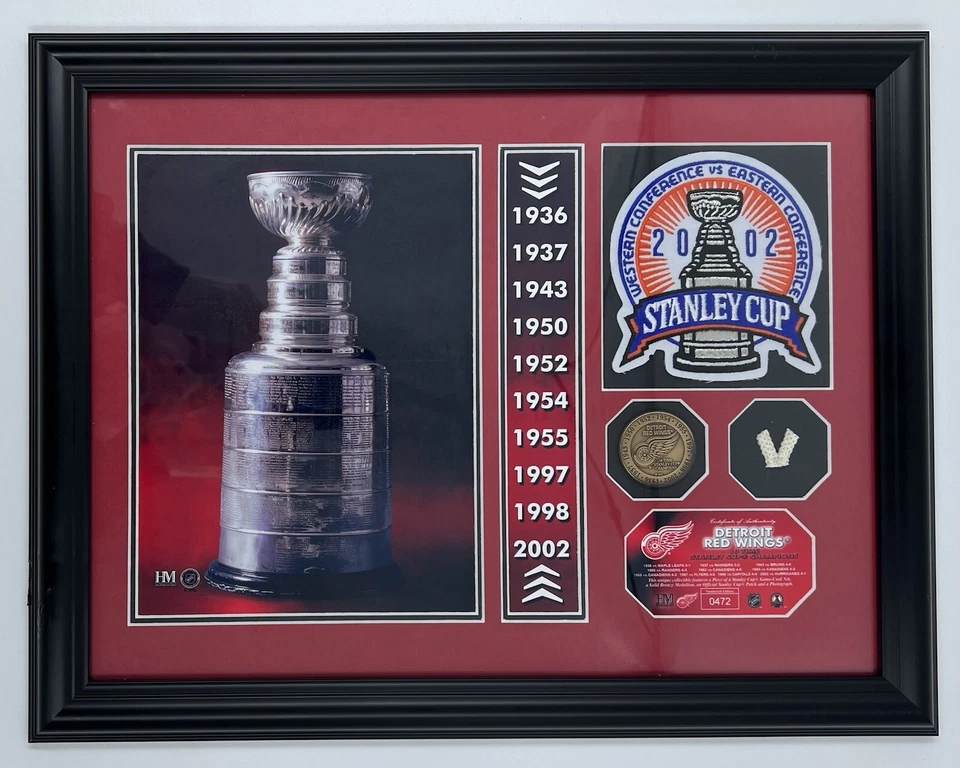Detroit Red Wings Stanley Cup Champions Plaque#0472 Game Used Net w/Bronze Coin — 第 1/4 张图片