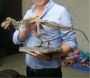 Dinosaurier Skelett Fossilien Knochen Puzzle Kinder Spielzeug Sammlung Tier 4D Modell Dekor - Bild 1 von 5