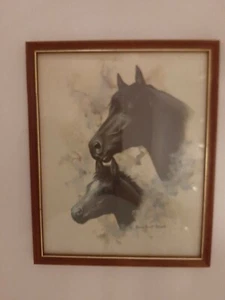 Doris Scott Nelson Vintage Framed Print Of Black Mare & Foal - Picture 1 of 2
