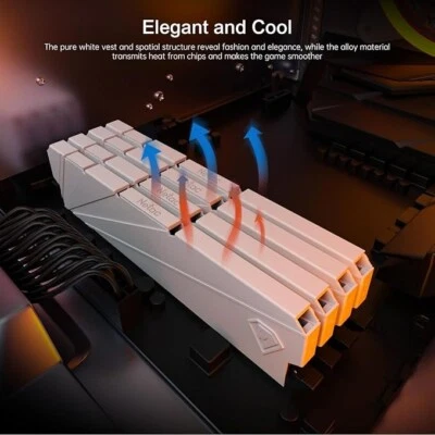 Netac 32 GB (2 x 16 GB) DDR4 3200 MHz C16 XMP 2.0 High Performance Desktop Works