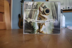 Meat Loaf It's All Coming Back To Me Now (Single) - Bild 1 von 2