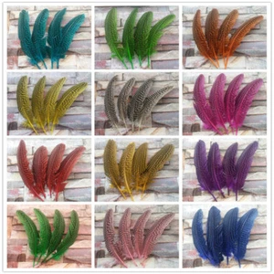 Wholesale 10-100pcs Pretty 6-8inch/15-20cm Pearl Chicken Feathers For Decorative - Picture 1 of 13