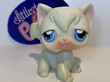 Angora Cat #9 - Authentic Littlest Pet Shop - Hasbro Lps