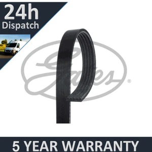 Gates V-Ribbed Belts Fits Land Rover Freelander Rover 75 5 Year Warranty G3101 - Picture 1 of 7