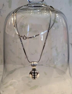 🌿Sterling Silber gepunkteter Anhänger 925 mit Sterling Silber 20" 925 Kette Italien  - Bild 1 von 8