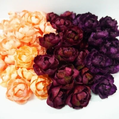 50 Peony Roses Sola Wood Diffuser Flowers 5 cm Dia. dyed in P/RW/BR - Image 1 of 3