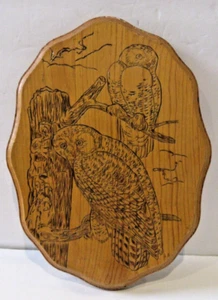 VINTAGE Hand Carved Owls Pyrography Wood Folk Art Wall Plaque - 1990, 11.5" - Picture 1 of 8