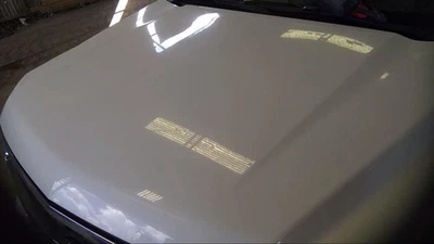 (LOCAL PICKUP ONLY) Hood Fits 15-20 SUBURBAN 1500 1825550 Foto 1 de 3