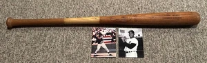 Willie Horton 1968 Detroit Tigers Store Model Bat GREAT DISPLAY ITEM! - Picture 1 of 8