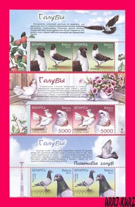 BELARUS 2011 Nature Fauna Birds Pigeons Doves 3 pairs Sc789-791 Mi880-882 MNH - Picture 1 of 1