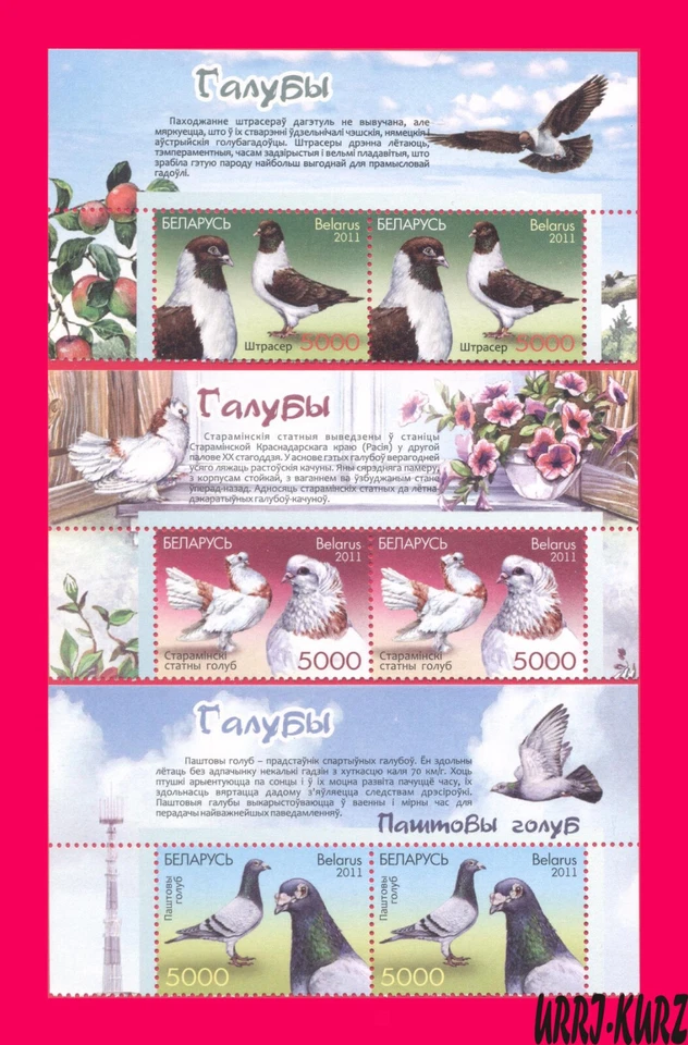 BELARUS 2011 Nature Fauna Birds Pigeons Doves 3 pairs Sc789-791 Mi880-882 MNH - Image 1 of 1