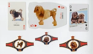 LOWCHEN COLLECTION DOG COLLECTABLE CARDS & BANDS - Picture 1 of 1