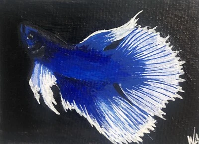Оригинальный ACEO, ATC, синий и белый Betta рыбы, акриловая картина WAV, подписанный, сертификат подлинности - Изображение 1 из 2