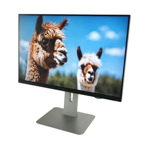 Dell UltraSharp Monitor U2415 24 Zoll FHD 1920 x 1200 Pixel 60Hz 16:10 ak - Afbeelding 1 van 5