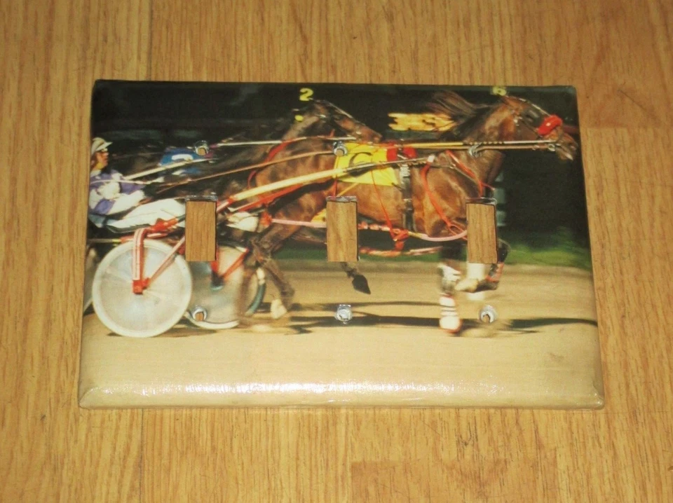 ARNÉS CLÁSICO ESTILO VINTAGE CARRERAS DE CABALLOS 3 AGUJEROS LUZ INTERRUPTOR PLACA DE CUBIERTA Foto 1 de 1