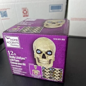 Home Accents Holiday 24SV24623 12ft Skelly Eye Kit - 8 Function 1010 831 002 NEW - Picture 1 of 4