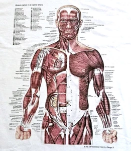 Vintage 80s Kurt Cobain Nirvana Chicago Human Anatomy Chart T Shirt Size Medium - Picture 1 of 10