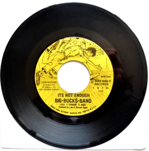 BIG BUCKS BAND ITS NOT ENOUGH 1979 45 7" VINYL MATRIMONIALMETAMORPHOSYPHILIS - Picture 1 of 11
