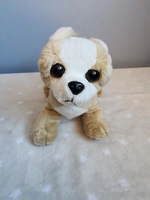 Chihuahua Dog Webkinz (Ganz) Plush HM104  - Image 1 of 4