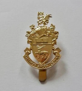 BRITISH ARMY CAP BADGE. SOUTHAMPTON UNIVERSITY OFFICER'S TRAINING CORPS. - Picture 1 of 1