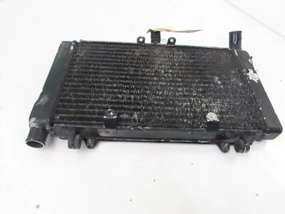 Honda CBR 1000 F 1993-2000 Radiator (Radiator) 201262646 - Image 1 of 2