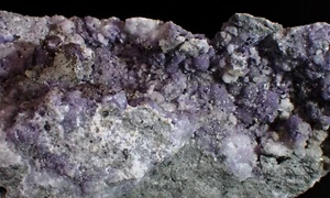 RARO DAWSONITE su FLUORITE esemplare minerale fine Francon Cava MONTREAL Quebec - Foto 1 di 5