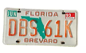 Mapa de matrícula de Florida gráficos condado de Brevard vintage metal 1993 DBS 61K - Imagen 1 de 5