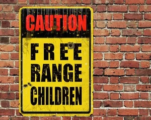 Caution Free Range Children Metal Aluminum Sign 8"x12" Funny Rustic - Picture 1 of 1