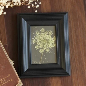 Framed Handmade Pressed Dried Flower, Queen Annes Lace in Black Frame, White Flo - Picture 1 of 10