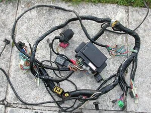 Arnés de cables bocina arnés de cableado bocina relés Kawasaki EL 252 Eliminator desde 1995 - Imagen 1 de 2