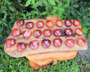 Natural Carnelian Heart Shape Carved Palm Stone Agate Rock Specimens Decor Gifts - Picture 1 of 18