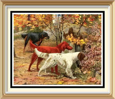 Print Agassiz Fuertes Canine Art  -Hunting ENGLISH IRISH GORDON POINTER Gun Dogs