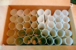 Toilet Paper Rolls Tubes Clean Empty Assorted 80 Crafts Projects Great Project!! - Picture 1 of 2