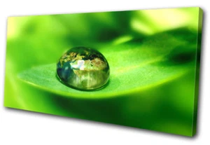 Makro Blatt grün Smaragd Blumen EINZELNE LEINWAND WANDBILD Bild Druck - Bild 1 von 1