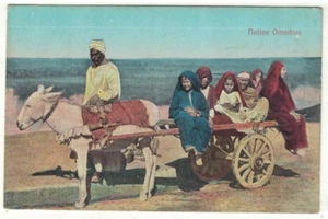 Vintage Postcard Native Omnibus Children Riding on a Donkey and Cart in Egypt - Picture 1 of 2